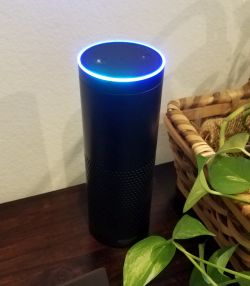 Home Automation/Alexa